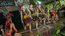 4D3N Gentle Moments, Lasting Bonds